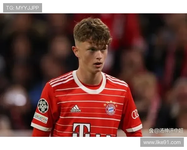 2020年德甲各球队的身价分析与排名