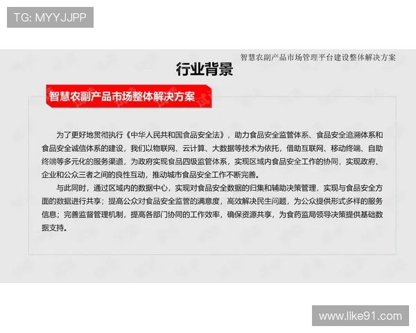 2024-2025赛季法甲外援市场整体评估报告 2024-2025赛季法甲外援市场整体评估报告